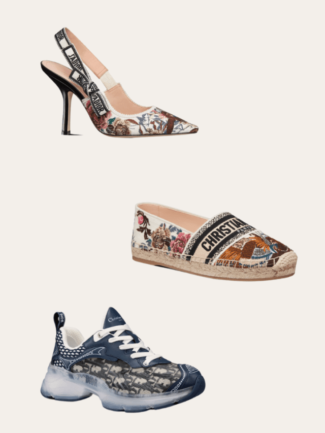 Dior Shoes
